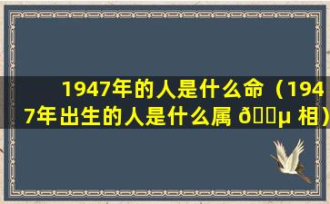 1947年的人是什么命（1947年出生的人是什么属 🌵 相）